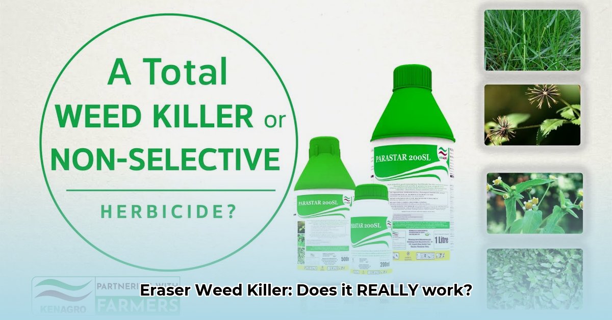 eraser-weed-killer-tractor-supply